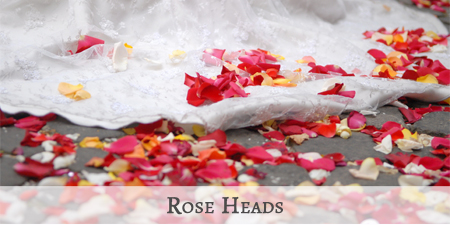 Rose Heads